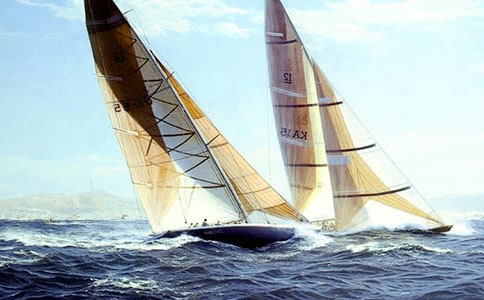 �{(l��n)��̺��g�����S�ķN����һ���w��