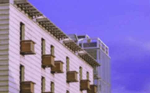 �˽̰�һ�꼉(j��)�σ�(c��)������������Ư������(d��o)�W(xu��)��