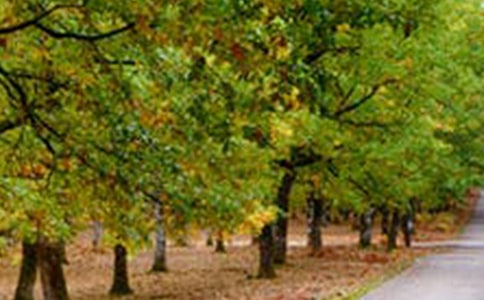 �L����·��