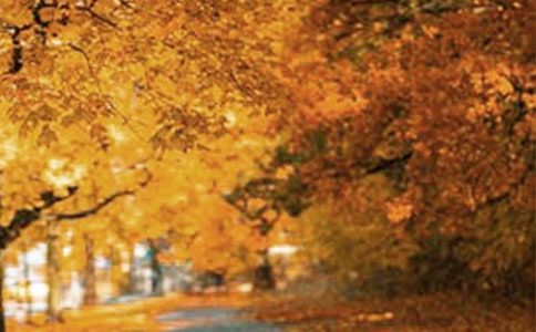 ��(y��u)���L(f��ng)��������300��