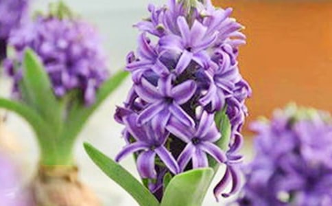 �L�������ĳ���[15ƪ]