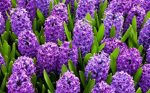 (���T)�L��������