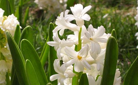 �L(f��ng)��������