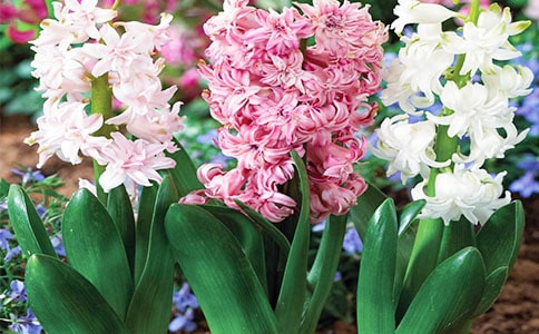 �L(f��ng)��������(��(j��ng)��)