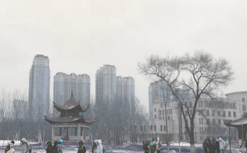 �L(f��ng)ѩ�е���������