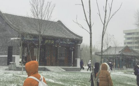 �茑���Lѩ�ľ���60��