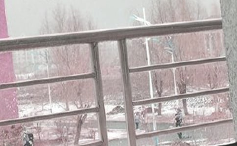 (��(sh��)��)���L(f��ng)ѩ����11ƪ