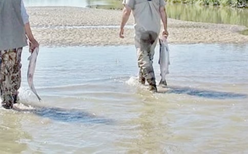 �����]���ҵĺø炃����