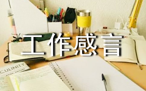 我的30年工作感言(精選10篇)