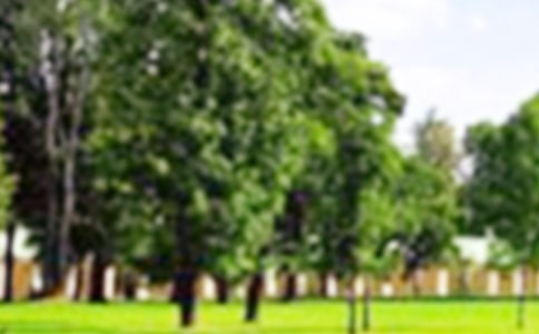 ��Ȫɽ���@