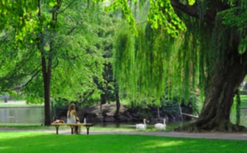 ��ɽ���@��ӛ��(y��u)��(6ƪ)