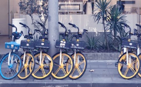 共享單車的自白作文