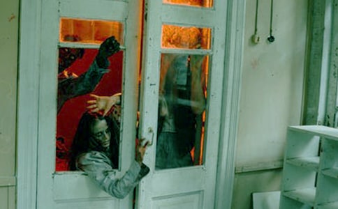 �����ݡ��@�����ģ����x37ƪ��