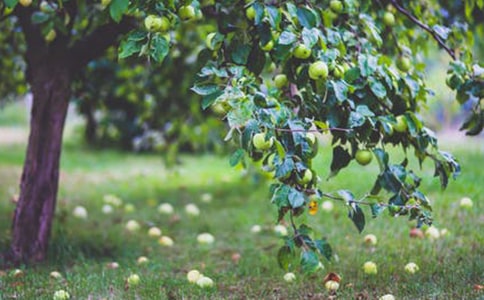 �S�յĹ��@����