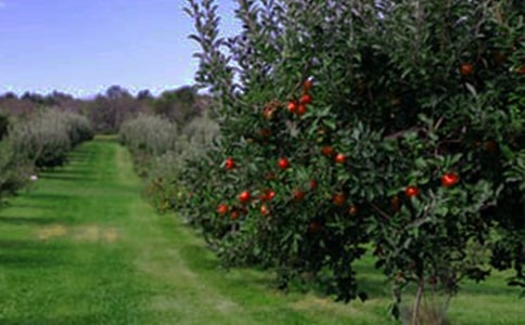 ���@��������