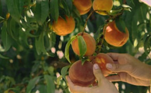 ���@������