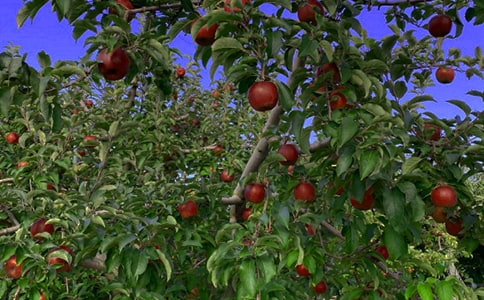 �����Ĺ��@300����