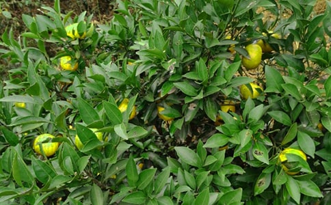 (�؂�)���@������15ƪ