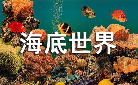 �Ͼ��������烞(y��u)�����ģ����x20ƪ��