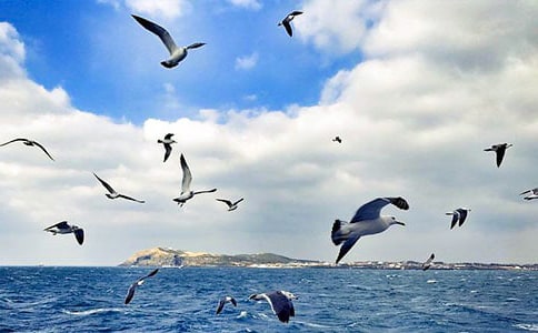 �x�����t�̼{ɭ���и�15ƪ