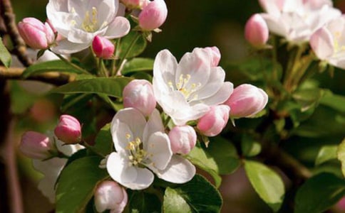 ���~���Ľ�(j��ng)��Ӣ���_�~