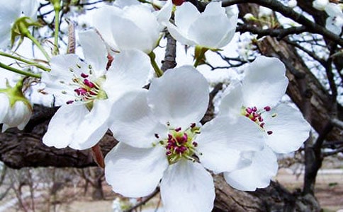 ���~���ĺÿ��᣿