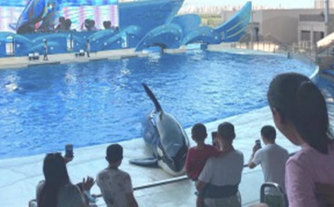 ���󹫈@Ҋ����