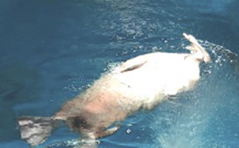 ������ۺ��󹫈@����400�֣����x46ƪ��