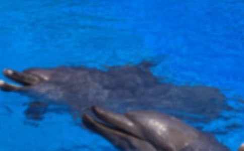 ������������Č�(sh��)�á�9ƪ��