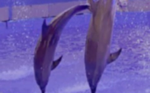 ������������