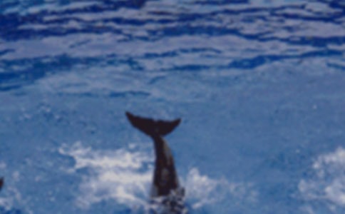 ������˷�˼���A��12ƪ��