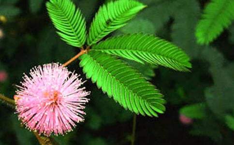 ���߲����ġ����x10ƪ��