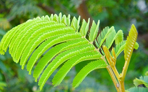 ���߲�����10ƪ