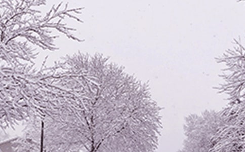 ������(l��i)�����ģ����x11ƪ��