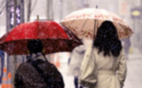 �ط��(qi��ng)��������