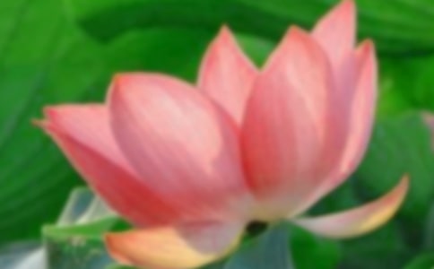 �茑ٝ���ɻ���Ԋ��