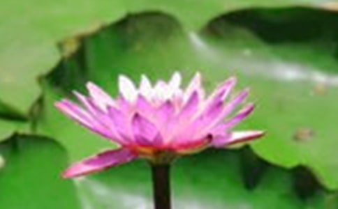 �P(gu��n)���茑(xi��)�ɻ���Ԋ(sh��)��(���x15ƪ)