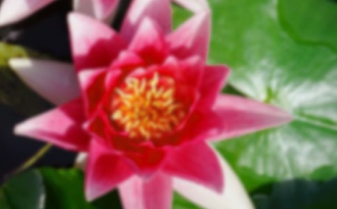 �茑�ɻ���Ԋ��270��