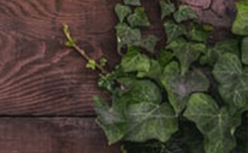 ���к��C���L(f��ng)���ġ����x��