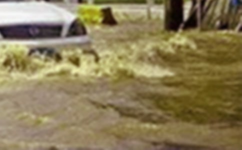 ��ˮ�o(w��)�����g�А�(��i)���ģ�ͨ��23ƪ��