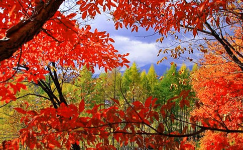 ����t�~��Ԋ���ȫ