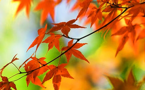 ���_�_�㡤�t�~�������~���b�p