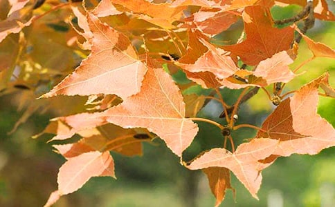 �t�~��������