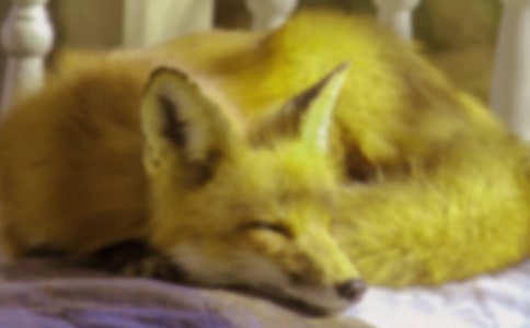 (��(j��ng)��)�{�Ӻͺ�؂�Ĺ���