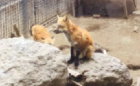 �ϻ��ͺ�؂������