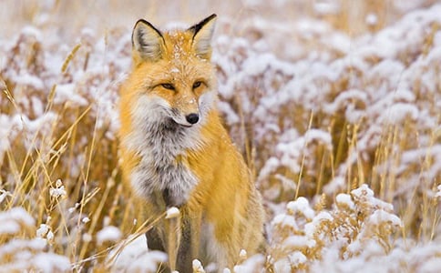 ��؂�͞��f�m(x��)��