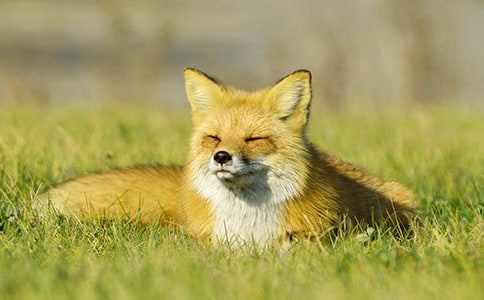 ��؂�ͺ�������