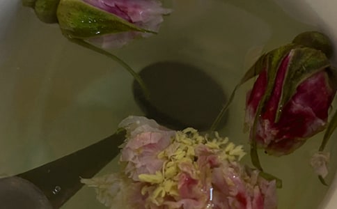 �𻨲�Ĺ�Ч�c������ʲô