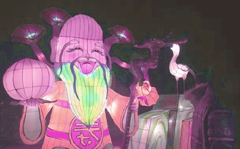 �����x������������