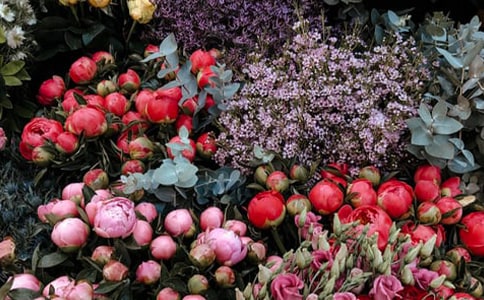 ���ꄓ(chu��ng)�⌦(li��n)